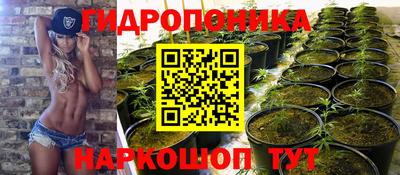 Альфа ПВП Будённовск