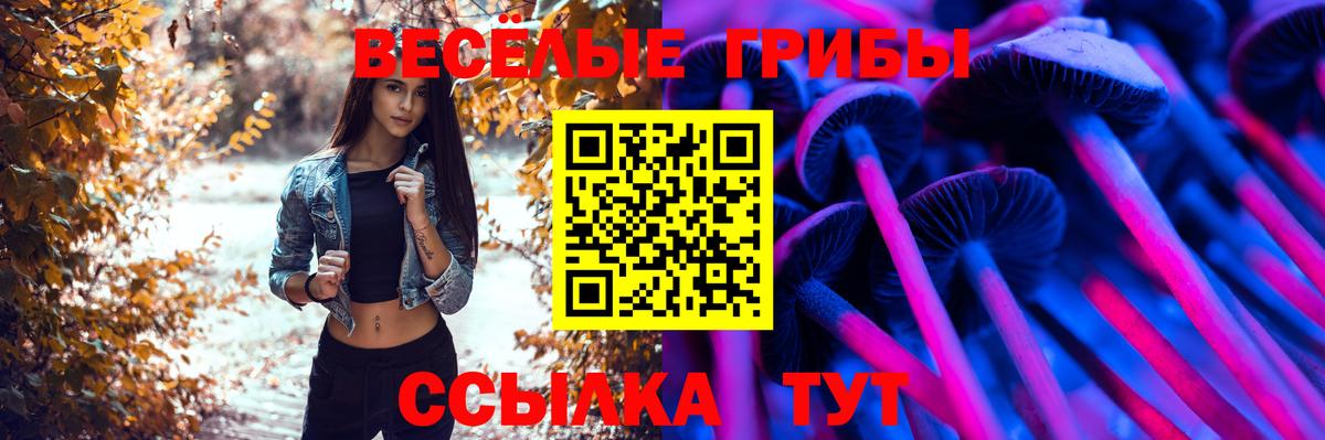Галлюциногенные грибы прущие грибы  Псилоцибиновые грибы прущие грибы  Вход с VPN  Озёрск 